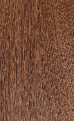 FREETRESS BRAIDS 3X French Curl Braid 22'' ASSORT COLORS: 4 BROWN